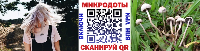 Галлюциногенные грибы ЛСД  МЕГА ССЫЛКА  Богданович 
